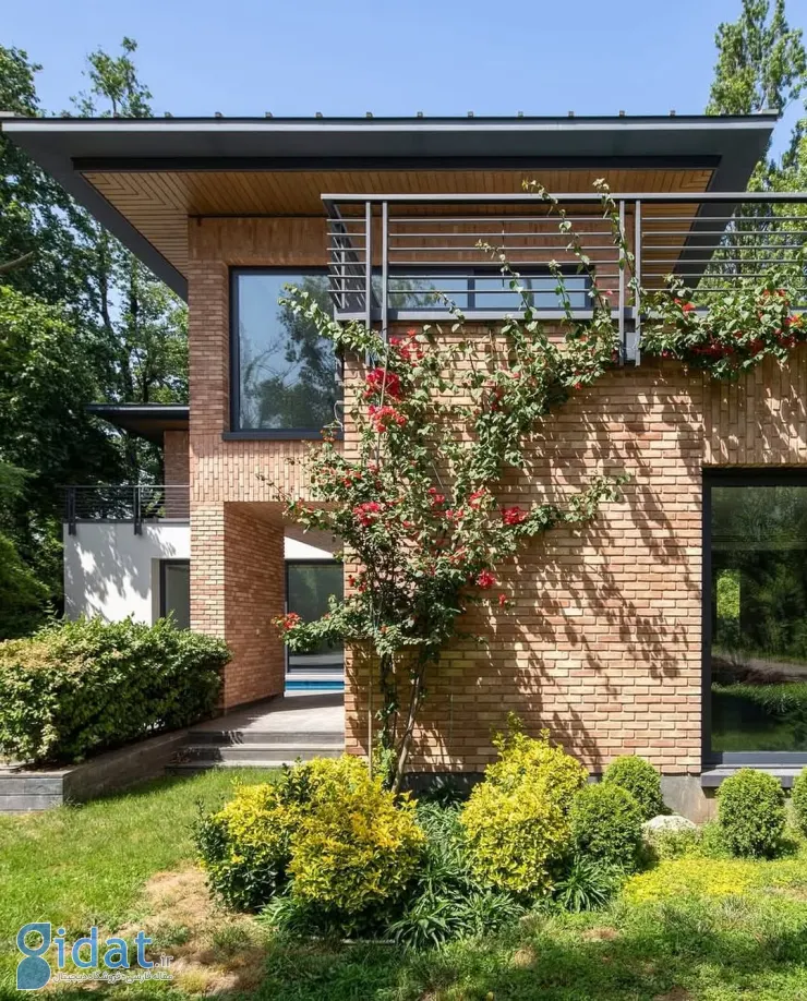 photo_2025-11-05_15-47-09 (3)